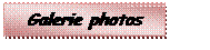 Zone de Texte: Galerie photos
 
