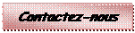 Zone de Texte: Contactez-nous 